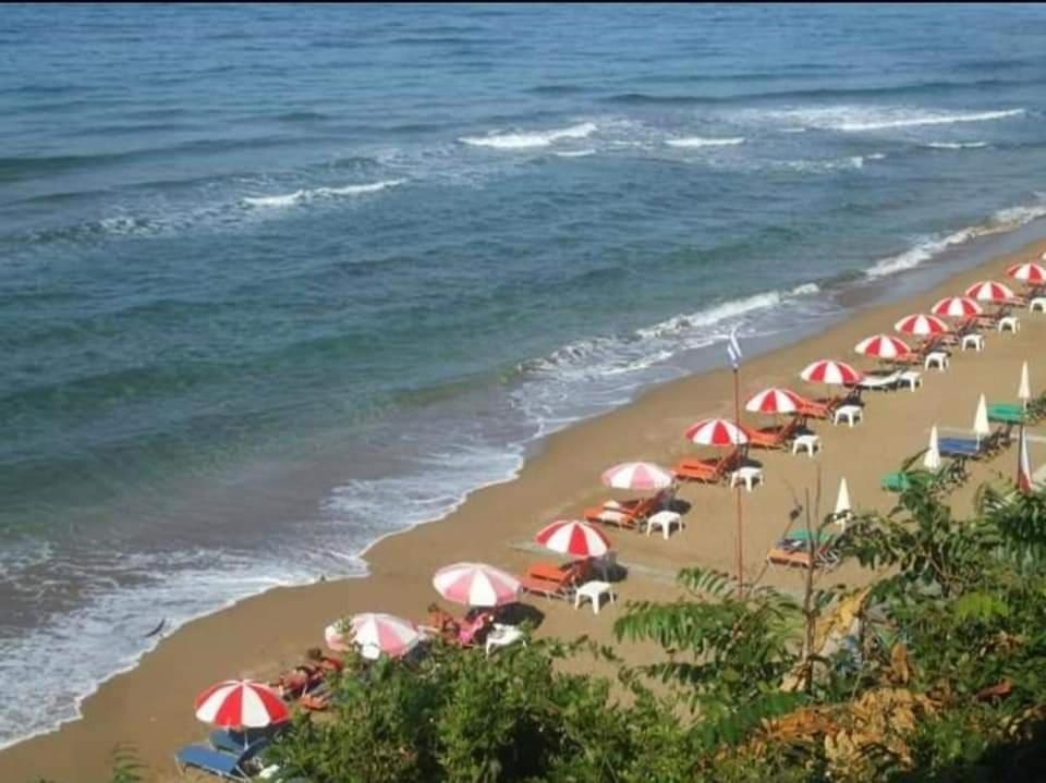 Harmony Corfu & Corfu (city)
