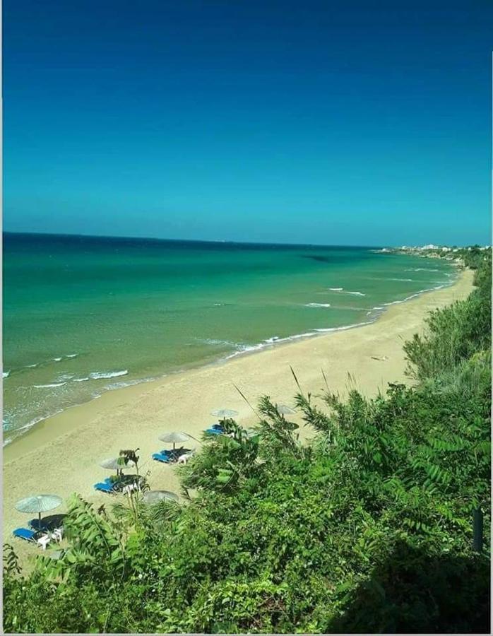 Apartment Harmony Corfu &