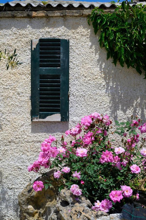 Apartment Harmony Corfu & Corfu (city)