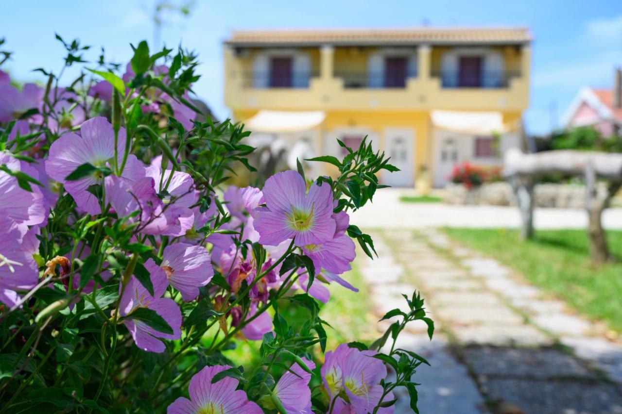 Harmony Corfu & *