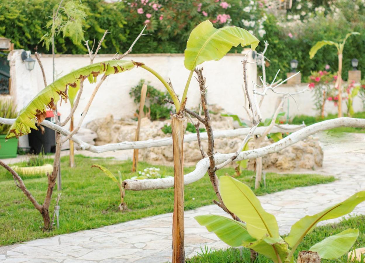 Apartment Harmony Corfu &